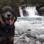 Profile Picture of Kevin Boyd (@kevin.boyd.545) on Instagram