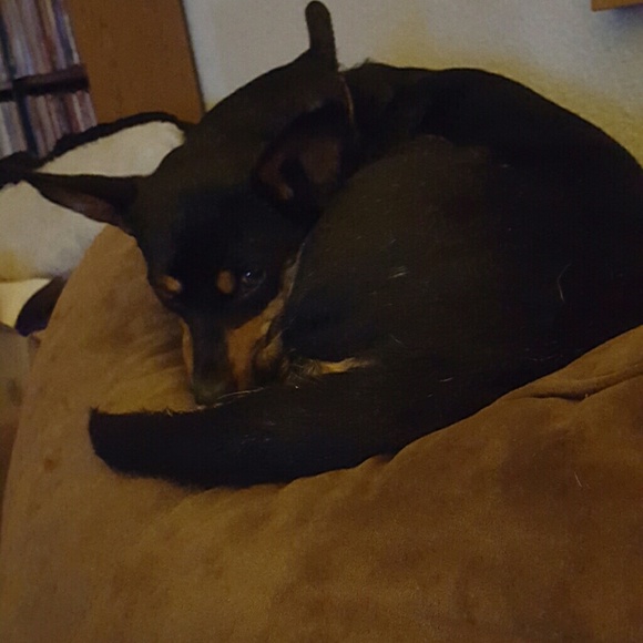 Profile Picture of Rachel Fancher (@momma81) on Poshmark