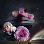 Profile Picture of Amal Karim (@amal12041999) on Facebook