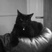 Profile Picture of Catherine Crabtree (@catherine.crabtree.509) on Facebook