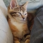 Cleo_Kitten - Instagram Profile Picture of Cleo_Kitten (@cleopatra_savage) on Instagram