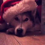 Profile Picture of Aaron Delaney (@Aaron-Delaney) on Facebook