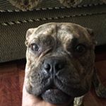 Profile Picture of Lawrence Thompson (@lawrencethompson903) on Instagram