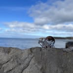 Profile Picture of Lucy Beardsmore (@lucy.j.beardsmore) on Facebook