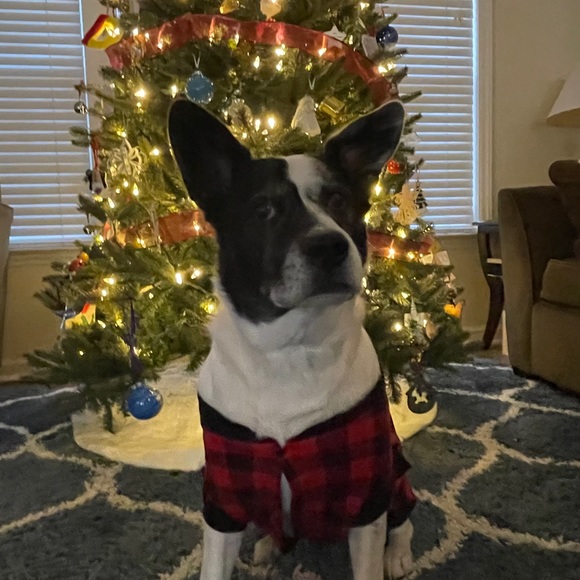 Kelly Markham - Poshmark Profile Picture of Kelly Markham (@kelly_markham) on Poshmark