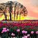 Profile Picture of Nik Arora (@nik.arora.31945) on Facebook