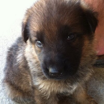 Profile Picture of Aaron Bonnett (@BonnettAaron) on Twitter