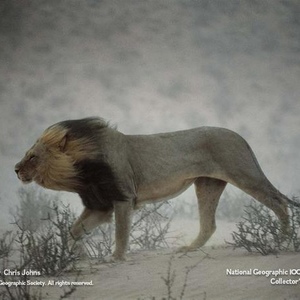 Profile Picture of Richard Nadeau (@rastrich) on Myspace