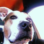 Profile Picture of Cuke 