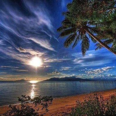 Profile Picture of Donna Moreno (@DonnaMo39533661) on Twitter
