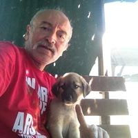 Profile Picture of Tamer Vardal (@tamer-vardal) on Quora