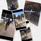 Profile Picture of   TikTok di user221822... (@_nova_noa_willem_silly) on Tiktok