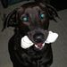 Profile Picture of Brian Applin (@bglobal247) on Pinterest