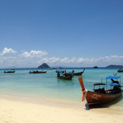 Profile Picture of Calvin Fu (@Calsanfu) on Twitter