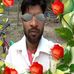 Profile Picture of Neeraj Rai (@Neeraj-Rai) on Facebook