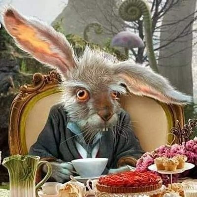 Profile Picture of Mark Maguire (@mamaguire2) on Twitter