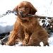 Profile Picture of Dave McComb (@mccombmaple) on Pinterest