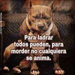 Profile Picture of Carlos Valero (@cvaleromalagon509) on Instagram