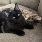 Profile Picture of Jane Hatter (@Jane-Hatter) on Facebook