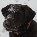 Profile Picture of Emily M Eckhoff (@eahmacdonald) on Flickr