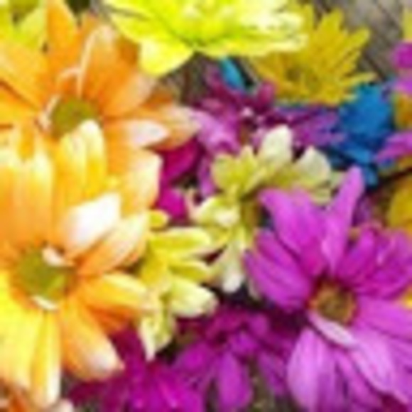 Profile Picture of Markita Daulton (@markitadaulton) on Poshmark