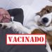 Profile Picture of Fernando Pinto (@fernando.pinto.1671897) on Facebook
