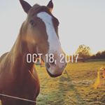 Profile Picture of brett dowdy (@dowdybrett) on Instagram