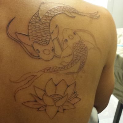 Profile Picture of Alex Keo (@laolovin) on Twitter