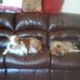 Profile Picture of Sharon L Kerns (@sharonl.kerns) on Facebook