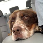 Profile Picture of Cooper Hoffler (@hangwithmrcooperh) on Instagram