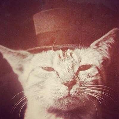 Profile Picture of Lil' Rex (@ginger197438) on Twitter