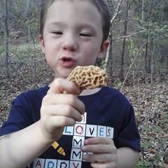 Profile Picture of Andrew Shadrick (@andrew.shadrick) on Myspace