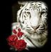 Profile Picture of Gary Knack (@gary.knack.58) on Facebook