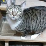 Profile Picture of David Sorge (@in.winters) on Instagram