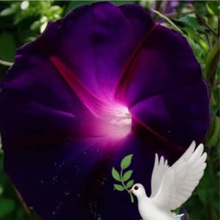 Profile Picture of Lori Dalling (@loridalling) on Instagram