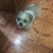 Profile Picture of Ruby Abernathy (@ruby_tejuco09) on Pinterest