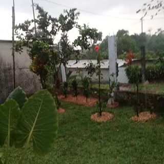 Profile Picture of Abelardo Escobar (@abelardo.escobar.5832) on Facebook