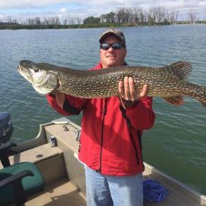 Profile Picture of Andy Graykowski (@andy_graykowski) on Twitter