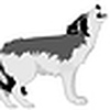 Profile Picture of Werewolfchick (@Werewolfchick) on Flickr