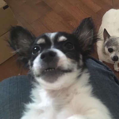 Profile Picture of Gabriel Swain (@GabrielSwain9) on Twitter