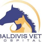 Profile Picture of Baldivis Vet Hospital (@baldivisveterinaryhospital) on Instagram