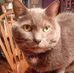 Profile Picture of David Stoffer (@david.stoffer.18) on Facebook