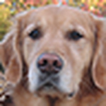 Profile Picture of Bryan Fisher (@B. Fisher) on Flickr