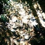 Profile Picture of Liam Boyle (@liamboylephotography) on Instagram