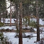 Profile Picture of David Skaw (@davidskaw) on Instagram