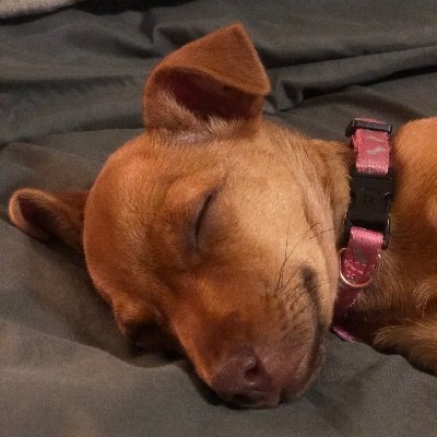 Profile Picture of Brittany Lamp (@BlessedMama1221) on Twitter