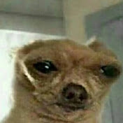 Profile Picture of Jovan Rodriguez (Cooks) (@WatchJovitoTv) on Youtube