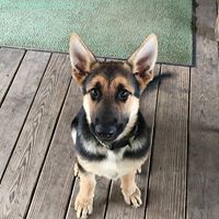 Profile Picture of Keaton Adams (@keaton-adams-13) on Quora