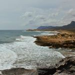 Profile Picture of iris webster (@iriswebster7) on Instagram