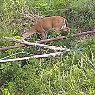 Profile Picture of James Hutchens (@james.hutchens.731) on Facebook